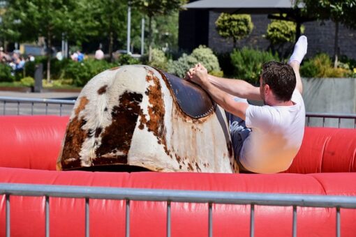 MEChANICAL BULL