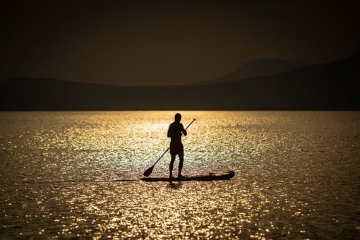 Paddle Surf